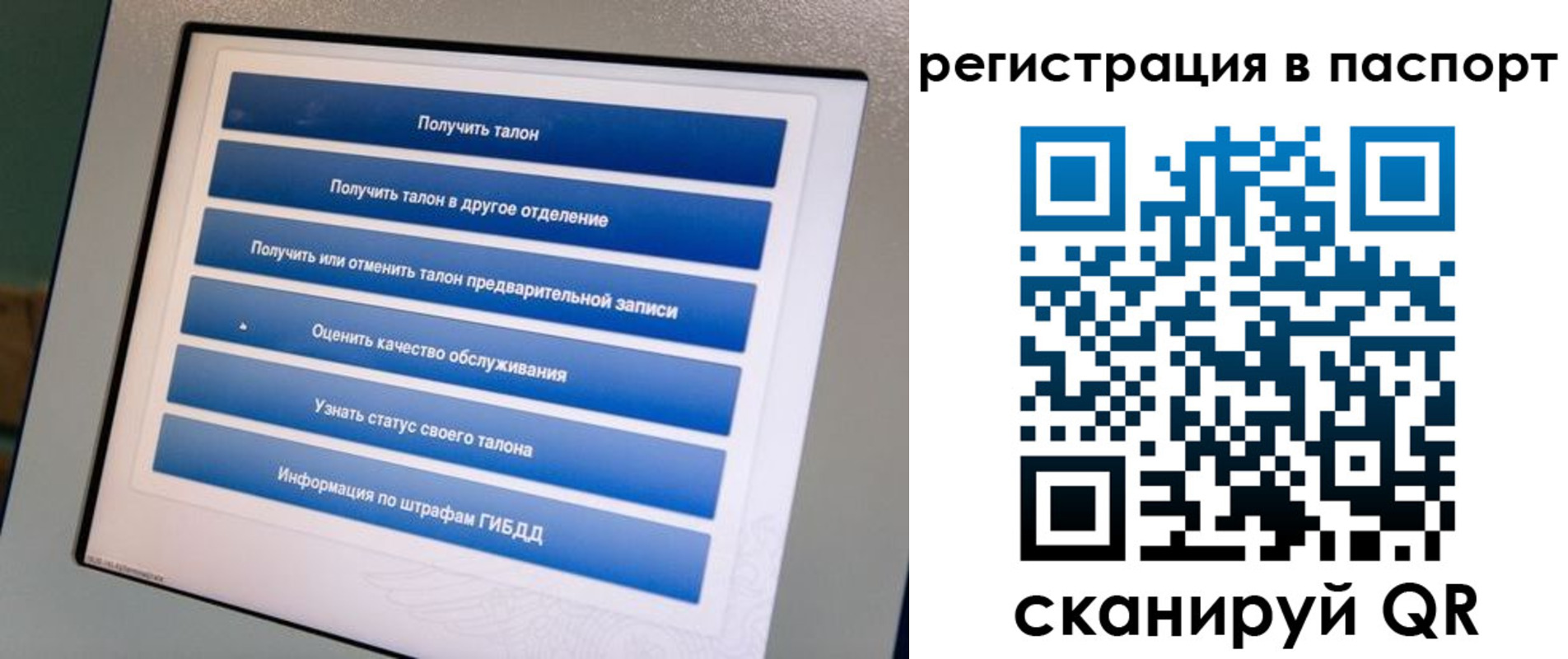 временная регистрация адрес в Пионерском